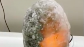 Ekran Resmi 2022-05-23 15.22.51