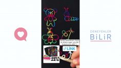 DENEYENLERBİLİR ♥️ MONTESSORİAKTİVİTELERİ