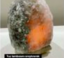 Ekran Resmi 2022-10-05 16.33.56