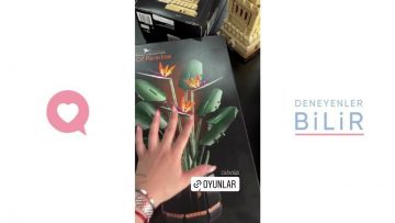 Özel: [ID: EoEQTRaOsYA] Youtube Automatic