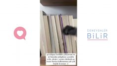 Özel: [ID: QiUc-o3cjVo] Youtube Automatic