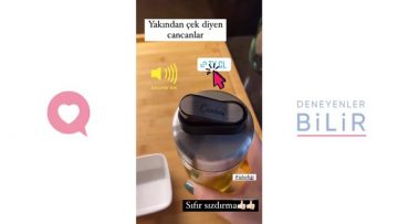 Özel: [ID: r5bVQdpqt0Q] Youtube Automatic