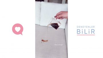 Özel: [ID: SWNkpTP6oVU] Youtube Automatic