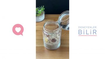 Özel: [ID: LInitQcrP64] Youtube Automatic