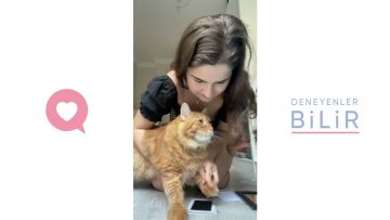 Özel: [ID: 8vPj8VGpHcc] Youtube Automatic