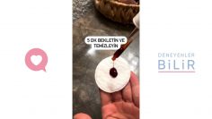Özel: [ID: cOiSuy82Oa0] Youtube Automatic