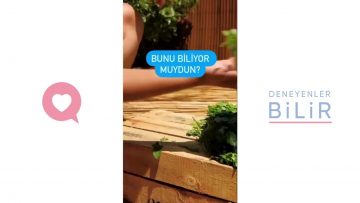 Özel: [ID: Cr8wA5SYW9c] Youtube Automatic