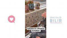 Özel: [ID: 6gqcoB8UNdY] Youtube Automatic