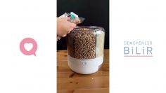 Özel: [ID: 82aGwGfWCNU] Youtube Automatic