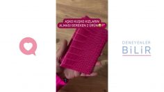 Özel: [ID: kdsWrqQdmp0] Youtube Automatic