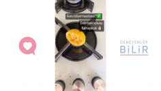 Özel: [ID: voOZub_IM68] Youtube Automatic