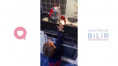 Özel: [ID: ybZEHlnivpk] Youtube Automatic