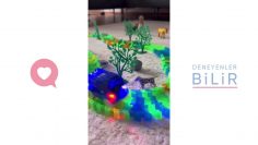 Özel: [ID: BiNlOZ-jBh4] Youtube Automatic