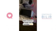Özel: [ID: ul0AjVtLs8E] Youtube Automatic