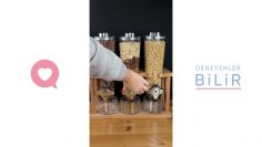 Özel: [ID: zGptpTQJ-QA] Youtube Automatic