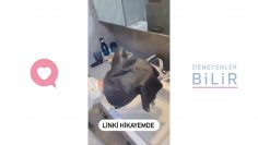 Özel: [ID: 49BlDcNiiPs] Youtube Automatic