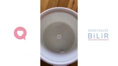 Özel: [ID: _RWDrPTrEdo] Youtube Automatic