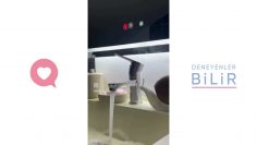 Özel: [ID: 7a_AnAuz5N8] Youtube Automatic