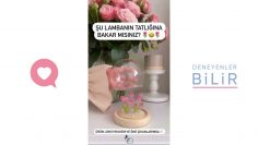 Özel: [ID: hQwfl9mE2js] Youtube Automatic